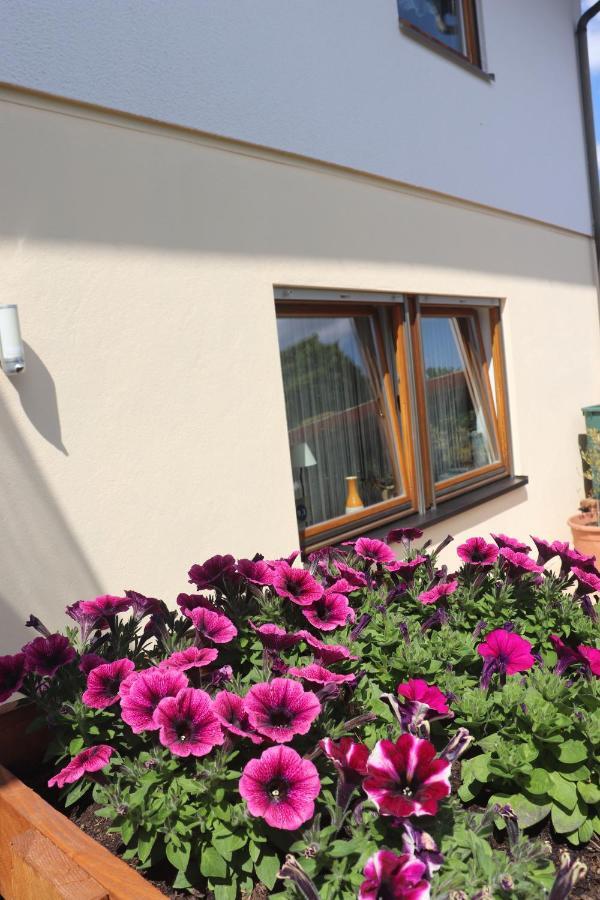 Ferienwohnung Pimer Ranschbach Екстер'єр фото