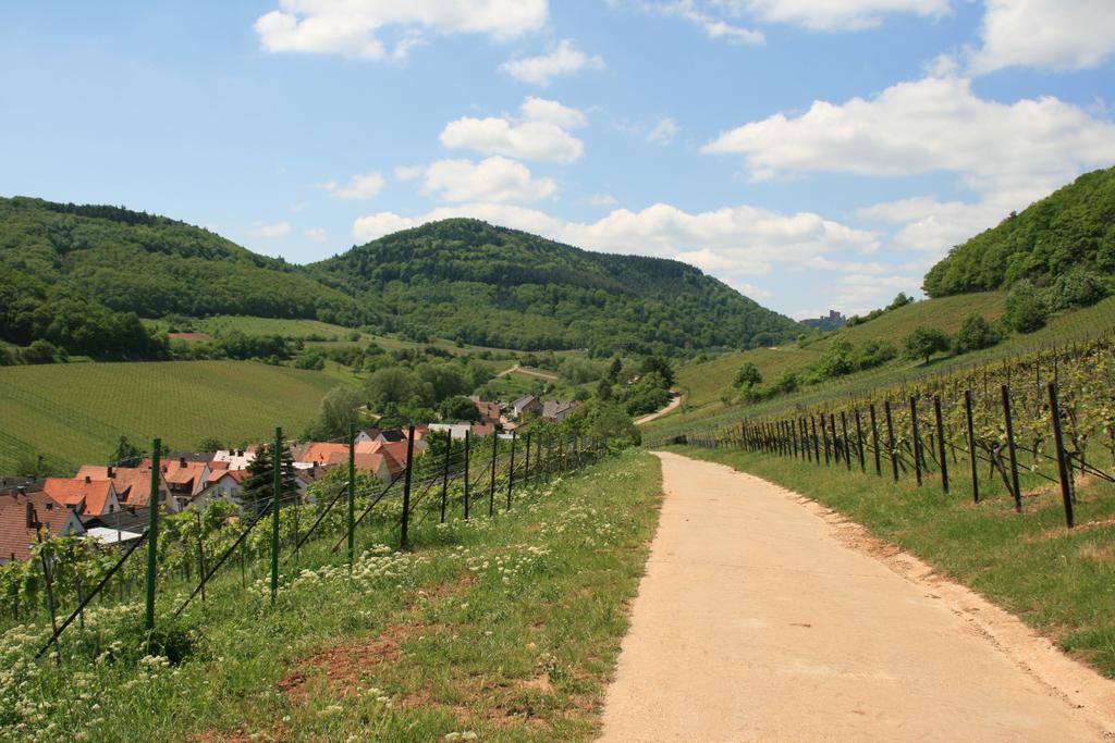 Ferienwohnung Pimer Ranschbach Екстер'єр фото